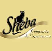 Sheba